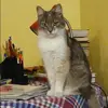 Отзыв от Майя Макеева